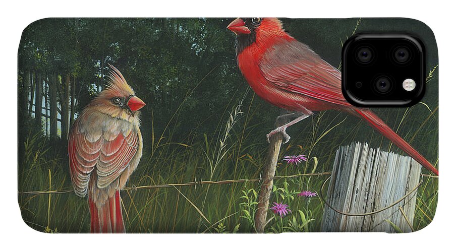 Cardinals iPhone 11 Case featuring the painting The Perfect Match by Mike Brown