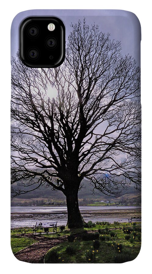 Tree iPhone 11 Case featuring the photograph The Plane Tree by Lynn Bolt