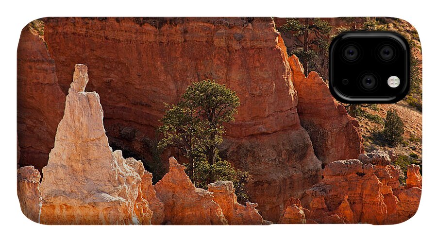 Bryce Canyon iPhone 11 Case featuring the photograph The PopeSunrise Point Bryce Canyon National Park by Fred Stearns