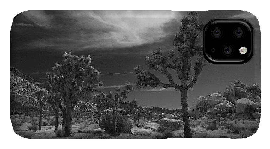 Joshua Tree National Park iPhone 11 Case featuring the photograph There Will Be a Way by Laurie Search