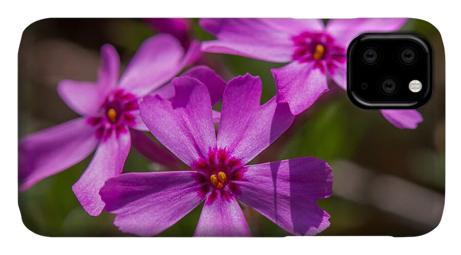 Flowers iPhone 11 Case featuring the photograph Three Flowers by Robert Mitchell