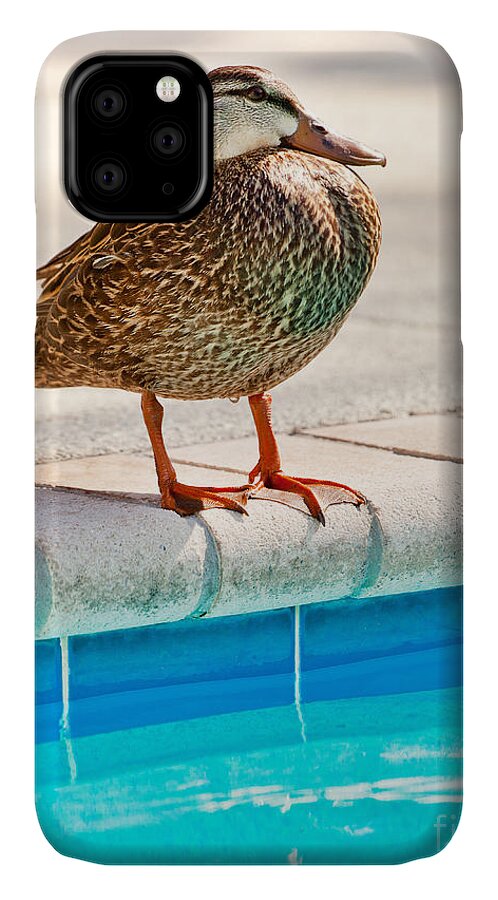 Time For A Dip Ii iPhone 11 Case featuring the photograph Time For a Dip II by Michelle Constantine