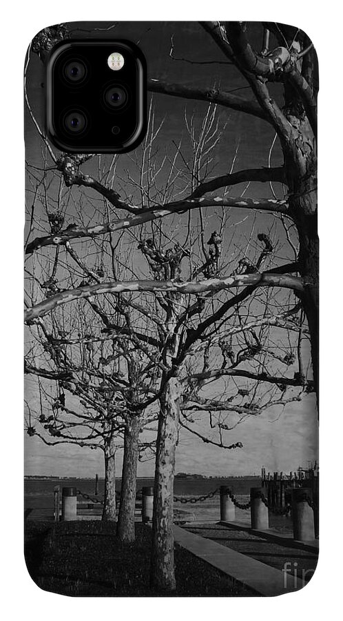 Charleston iPhone 11 Case featuring the photograph Tree in a row by Andrea Anderegg