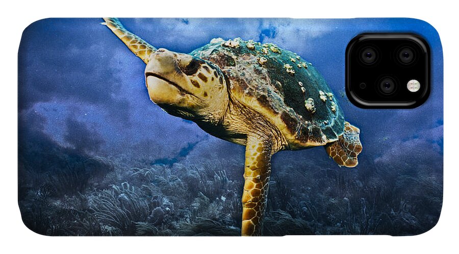 Clouds iPhone 11 Case featuring the photograph Under the Sea by Sandra Edwards