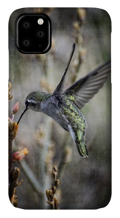 Hummingbird iPhone 11 Case featuring the photograph Up in the Air by Saija Lehtonen