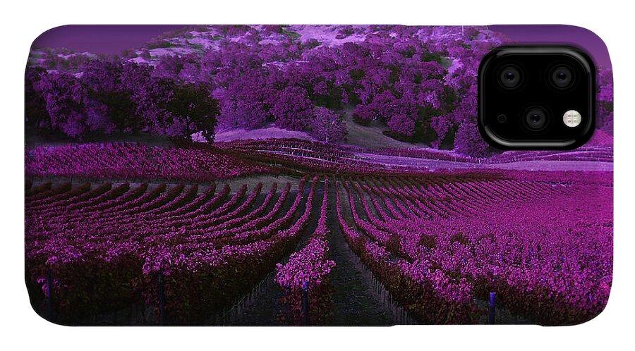 Landscape iPhone 11 Case featuring the photograph Vineyard 41 by Xueling Zou