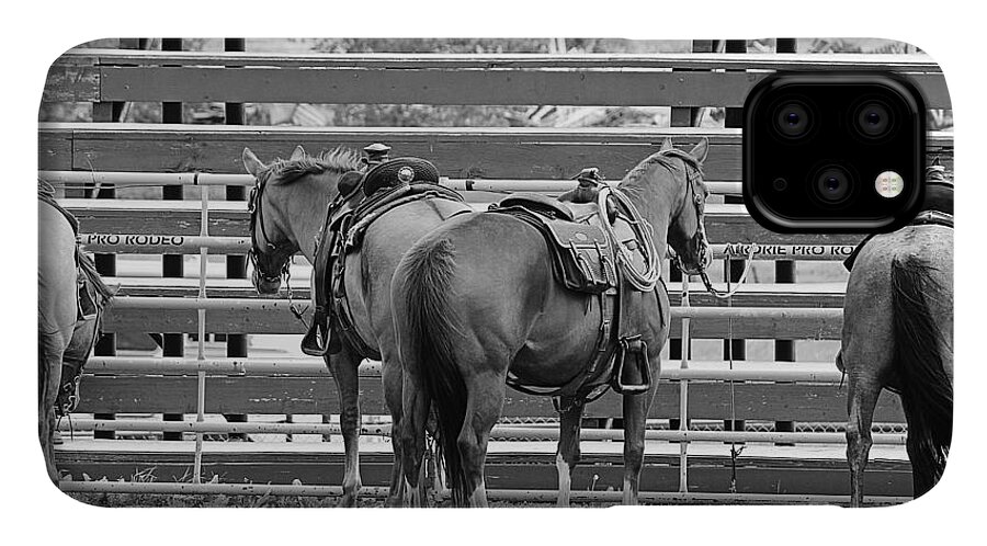 Horses iPhone 11 Case featuring the photograph Waiting by Ann E Robson