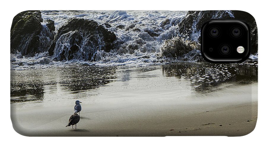 Beach iPhone 11 Case featuring the photograph Waiting For Their Meal by Jim Moss