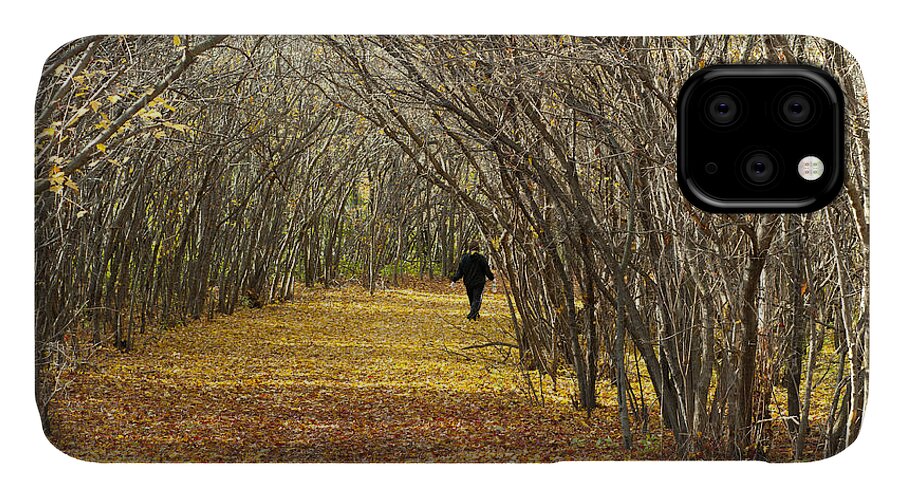 Autumn iPhone 11 Case featuring the photograph Walking a Golden Road by Lynn Hansen