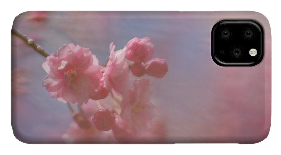 Pink iPhone 11 Case featuring the photograph Weeping Cherry Blossoms by Natalie Rotman Cote