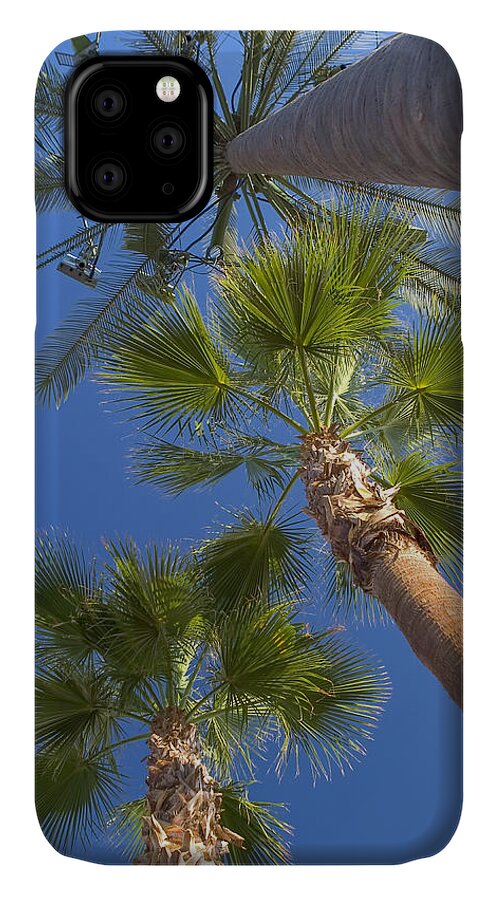 Palm Trees iPhone 11 Case featuring the photograph Which one doesnt belong 1 by Scott Campbell