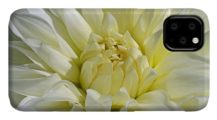 Flower iPhone 11 Case featuring the photograph White Peony by Kelly Holm