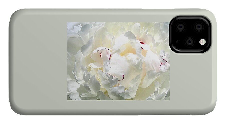  White Peony iPhone 11 Case featuring the photograph White Peony by Will Borden