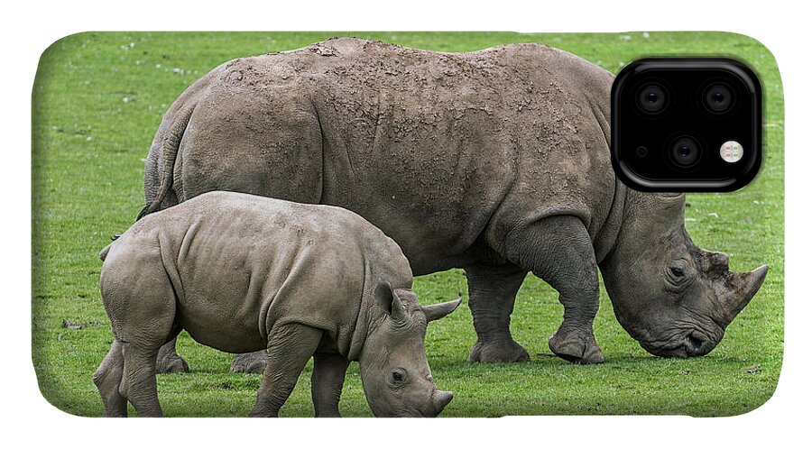 White Rhino iPhone 11 Case featuring the photograph White rhino 8 by Arterra Picture Library