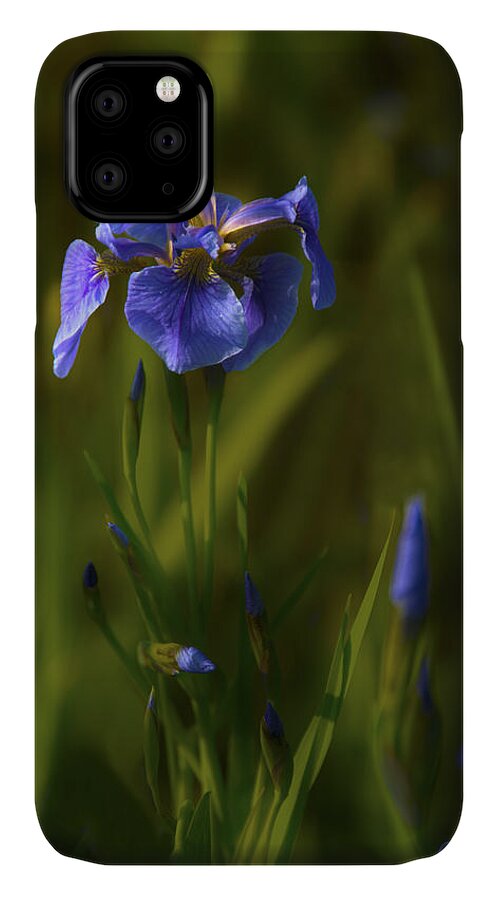 Alaska iPhone 11 Case featuring the photograph Wild Alaskan Iris by Penny Lisowski