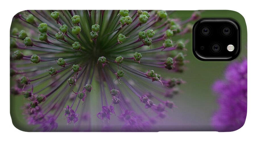 Allium iPhone 11 Case featuring the photograph Wild Onion by Heiko Koehrer-Wagner