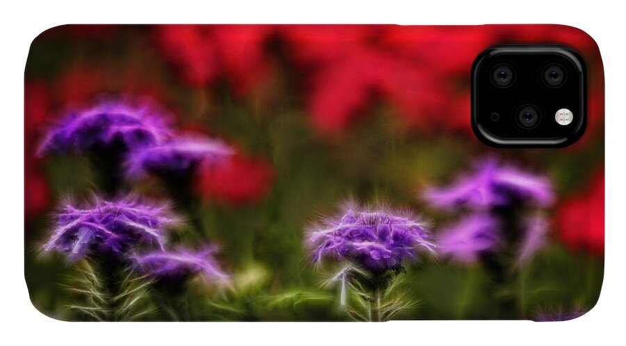 Verbena iPhone 11 Case featuring the photograph Wildflower Fantasy by Lucy VanSwearingen