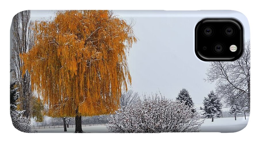 Landscape iPhone 11 Case featuring the photograph Winter Colors by Mike Helland