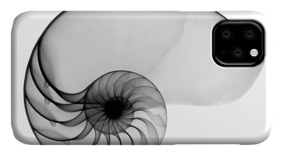 Radiograph iPhone 11 Case featuring the photograph X-ray Of Nautilus by Bert Myers