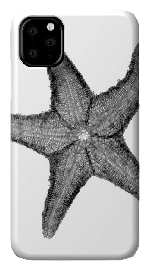 Radiograph iPhone 11 Case featuring the photograph X-ray Of Starfish by Bert Myers
