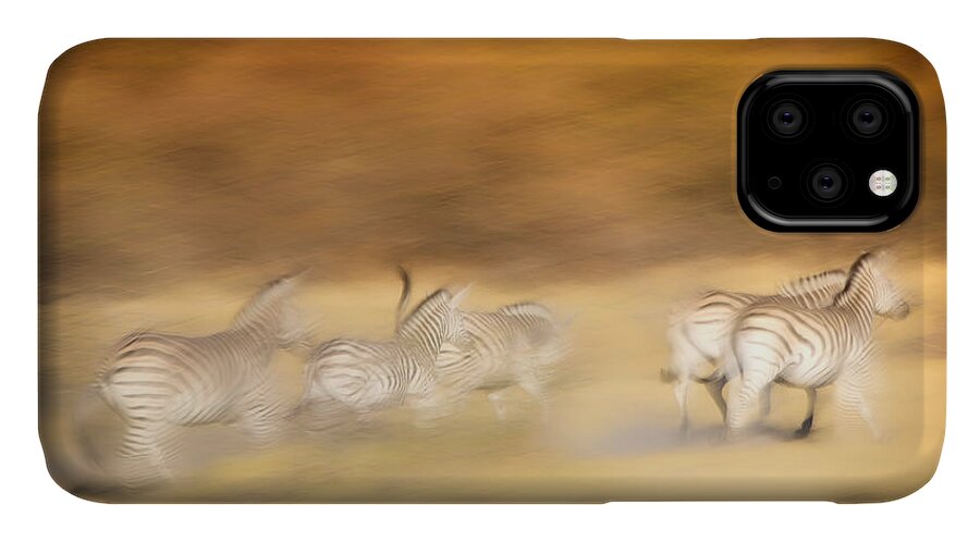 Art iPhone 11 Case featuring the photograph Zebras by Gigi Ebert