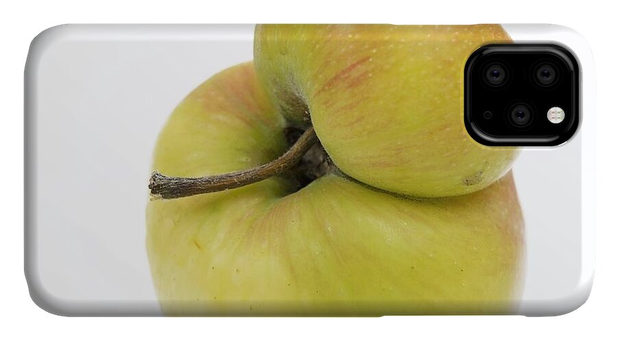 Agriculture iPhone 11 Case featuring the photograph Apple #14 by Bernard Jaubert
