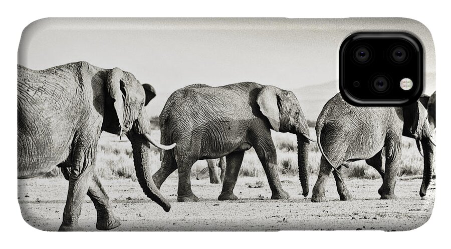 Africa iPhone 11 Case featuring the photograph African Elephant in the Masai Mara #3 by Perla Copernik