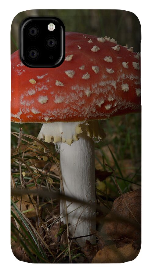 Amanita iPhone 11 Case featuring the photograph Amanita muscaria by Michael Goyberg