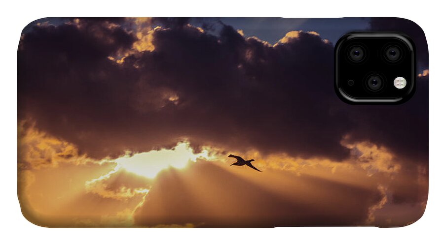 Air iPhone 11 Case featuring the photograph Bird in sunrise rays by Michael Goyberg