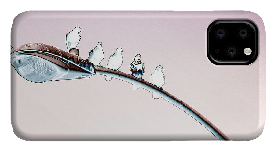 Birds iPhone 11 Case featuring the photograph Birds on a Streetlight by Diana Haronis