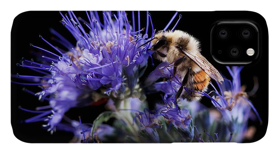 Macro iPhone 11 Case featuring the photograph Bumble Bee on Blue Flower by Cindy Singleton