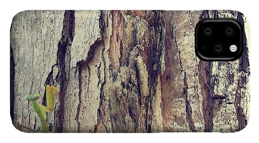 Nature iPhone 11 Case featuring the photograph #camouflage #prayingmantis #insects by Gabriel Kang