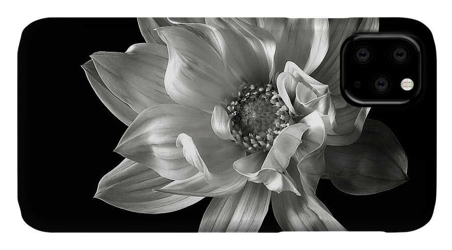 Flower iPhone 11 Case featuring the photograph Dahlia in Black and White by Endre Balogh