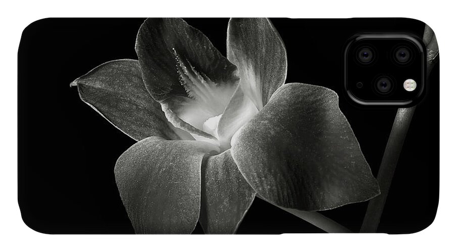 Flower iPhone 11 Case featuring the photograph Dendrobium Orchid in Black and White by Endre Balogh