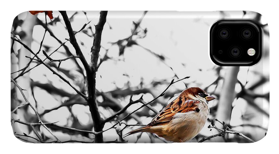 Sparrow iPhone 11 Case featuring the photograph Fall Sparrow by Stan Kwong