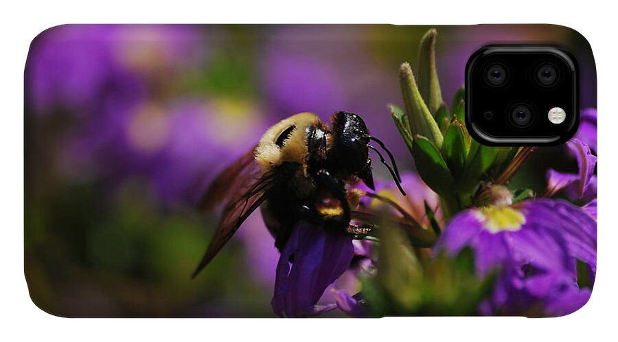 Bee iPhone 11 Case featuring the photograph I Love My Job by Lori Tambakis