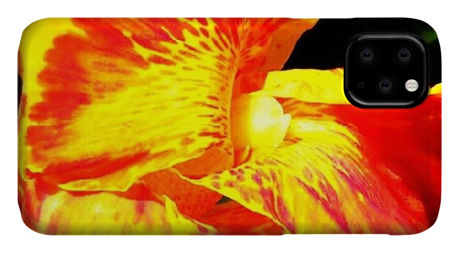 Art iPhone 11 Case featuring the photograph Just Gorgeous by Percy Bohannon