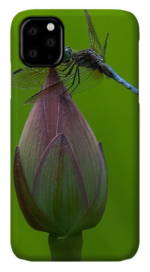 Nature iPhone 11 Case featuring the photograph Lotus Bud and Blue Dasher Dragonfly DL007 by Gerry Gantt