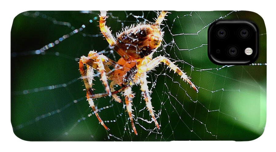 Spider iPhone 11 Case featuring the photograph Orb Weaver and Lunch by Chriss Pagani