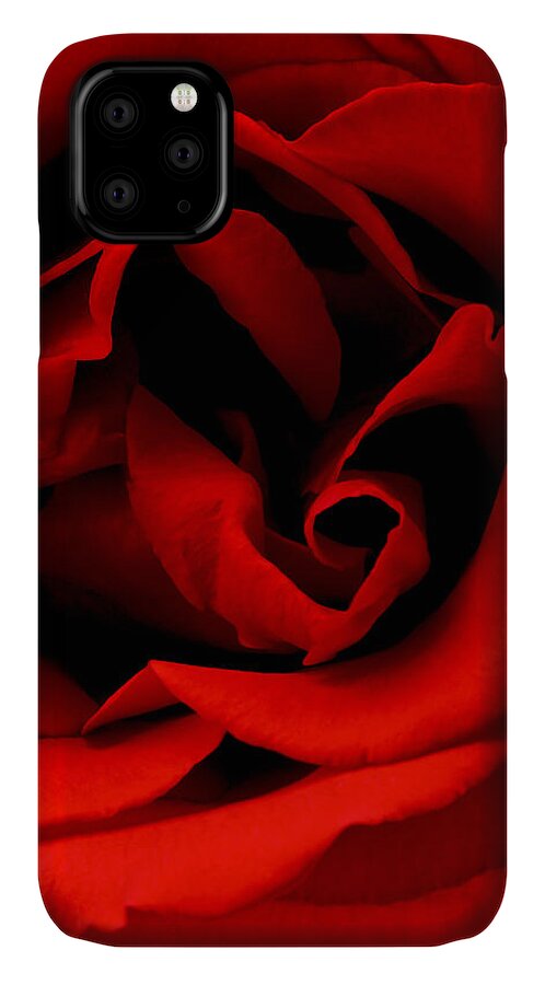 Perla Copernik iPhone 11 Case featuring the photograph Photograph of a Red Rose by Perla Copernik