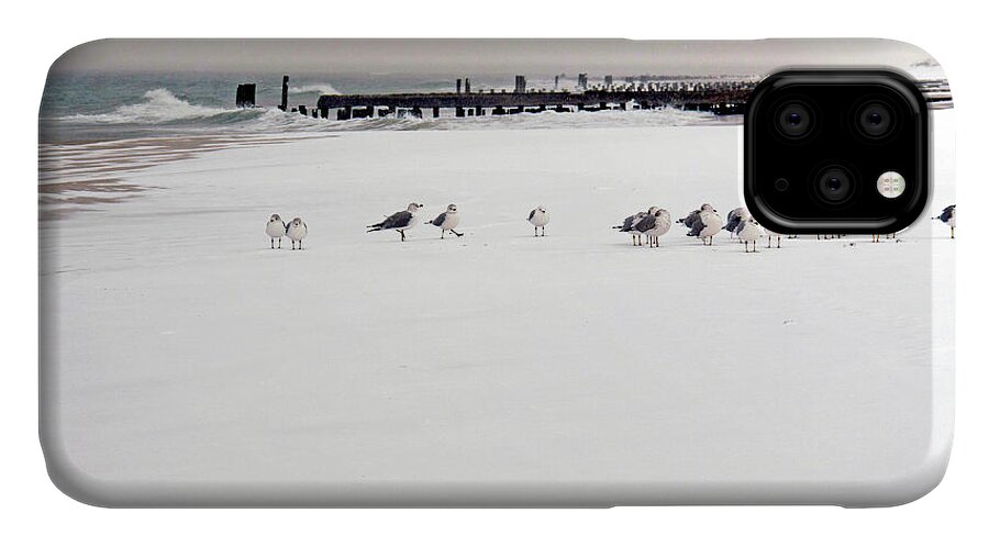 Gulls iPhone 11 Case featuring the photograph Polar Bird Club by S Paul Sahm