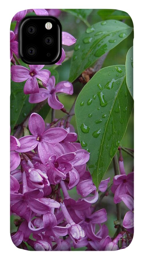 Purple Lilac iPhone 11 Case featuring the photograph Purple Lilac by Laurel Best