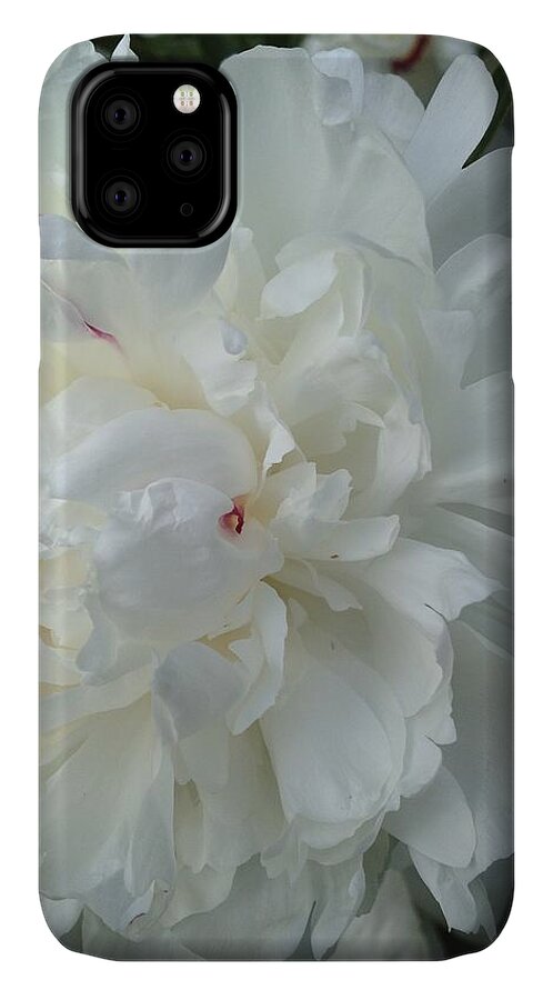 Flower iPhone 11 Case featuring the photograph Rarely Perfect by Joseph Yarbrough