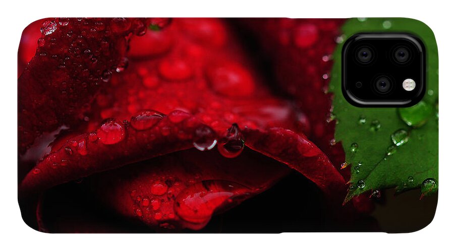 Red iPhone 11 Case featuring the photograph Rose by Dragan Kudjerski