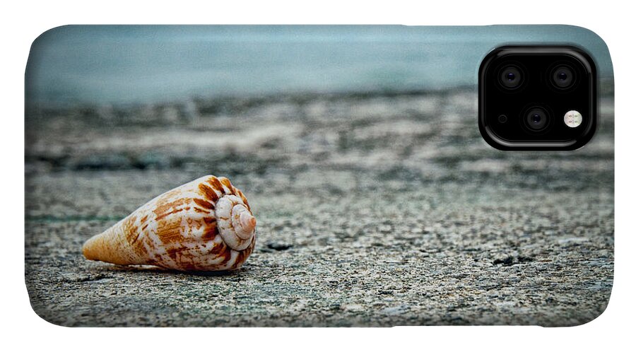 Seashell iPhone 11 Case featuring the photograph Shell by Ryan Wyckoff