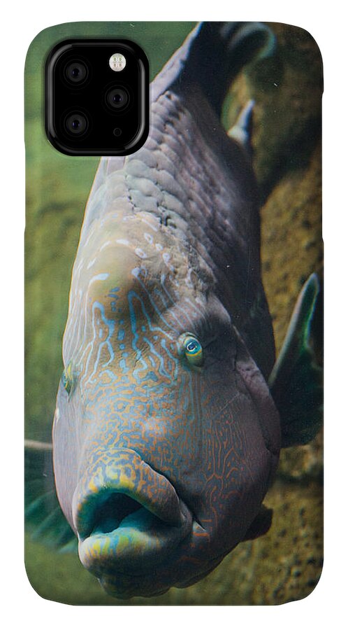 Ralf iPhone 11 Case featuring the photograph Thick Lips by Ralf Kaiser