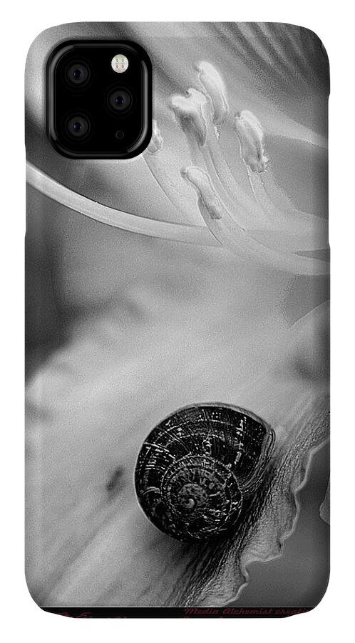 Clay iPhone 11 Case featuring the photograph B and White Floral with Snail #1 by Clayton Bruster