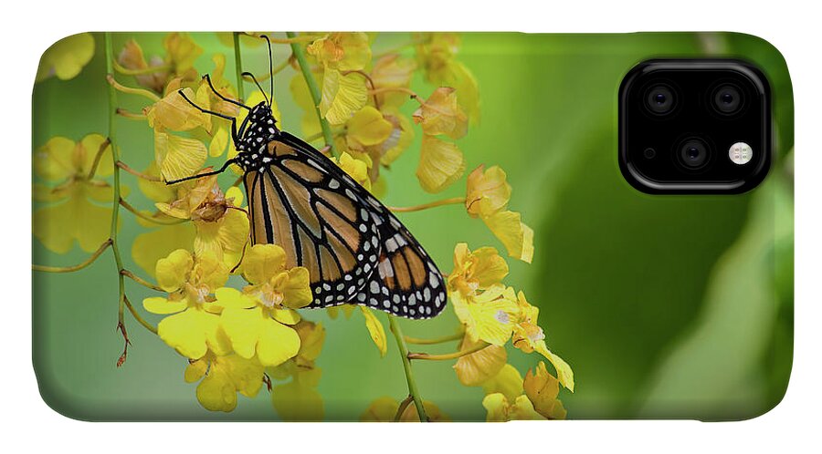 Monarch iPhone 11 Case featuring the photograph Monarch Butterfly on Yellow Orchids #1 by Jill Lang