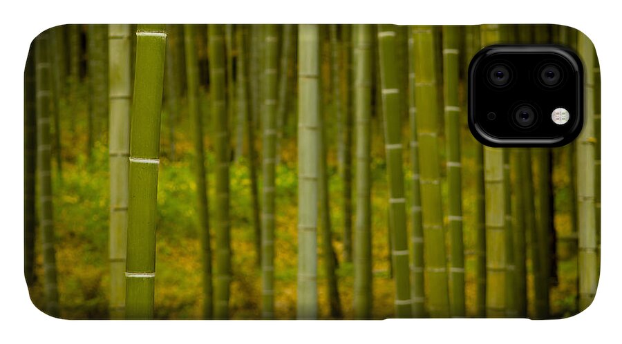 Bamboo iPhone 11 Case featuring the photograph Mystical Bamboo #1 by Sebastian Musial