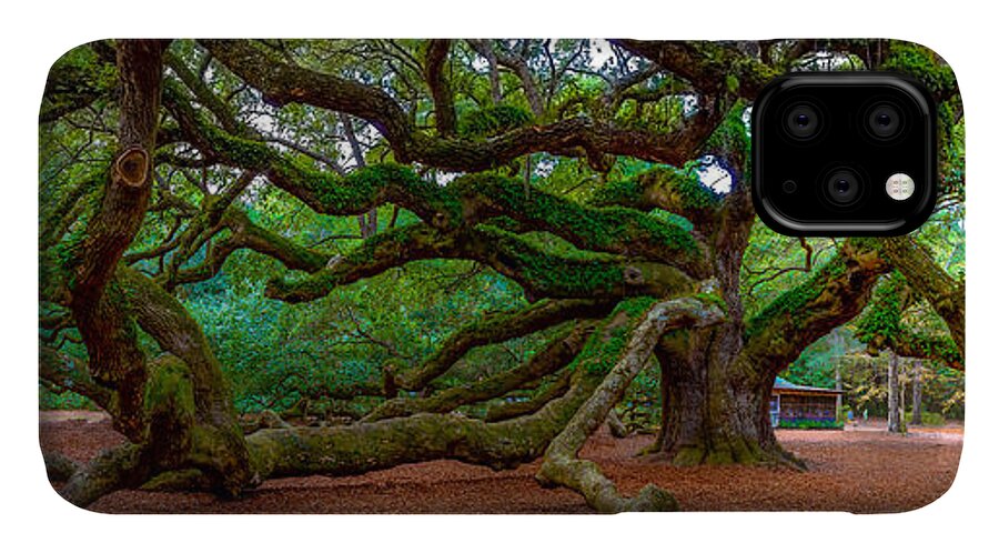 Angel Oak iPhone 11 Case featuring the photograph Old Southern Live Oak #1 by David Smith